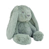 Big Hugs - Beau Bunny